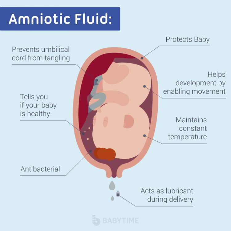 Amniotic Fluid And Baby Development: Your Comprehensive Guide