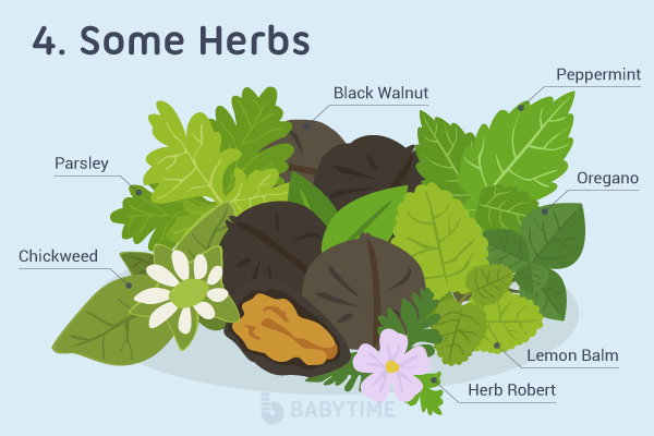 Herbs