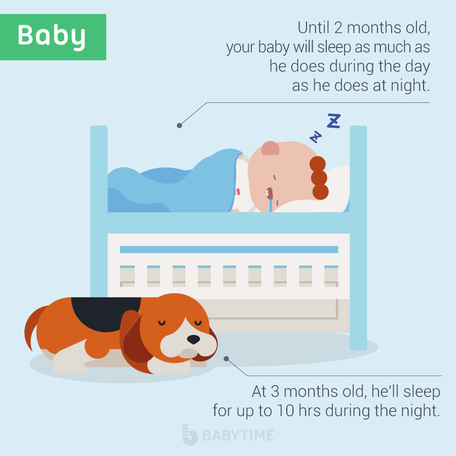 Baby Sleep Habits | BabyTime